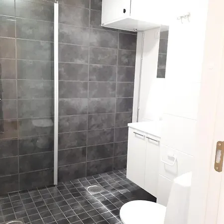 Arctic Leimu Lejlighed Rovaniemi