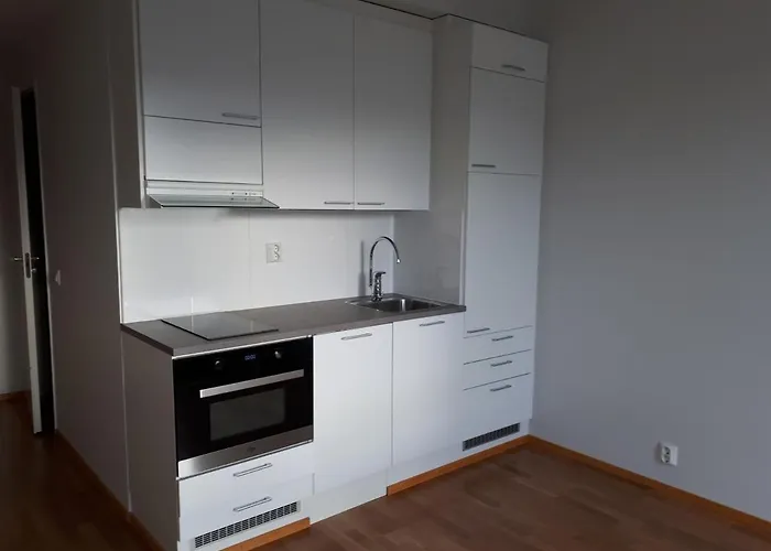 Апартаменты Arctic Leimu *