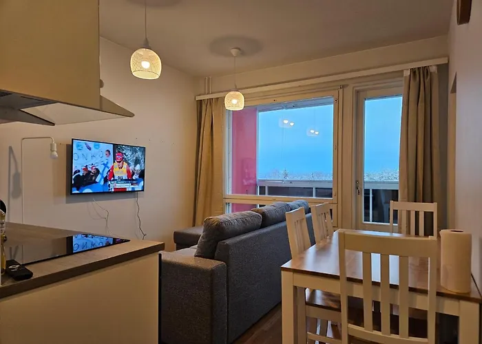 Arctic Leimu Апартаменты